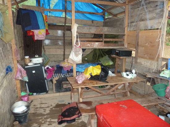 die Barbesitzerin wohnt sogar in selbiger