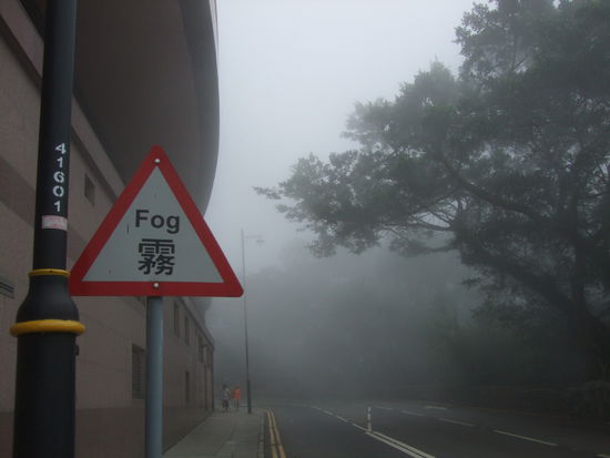 das Schild ist leider Programm gewesen, so war es nichts mit einer guten Aussicht