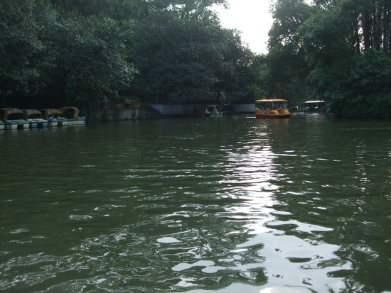 Tretbootfahrt im Park