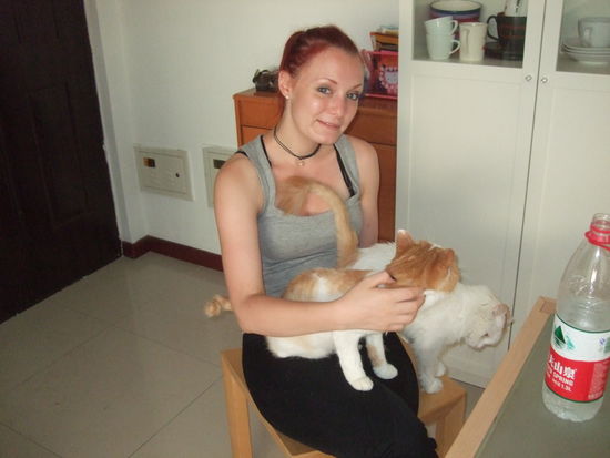 die Katzen von unserem ersten Gastgeber