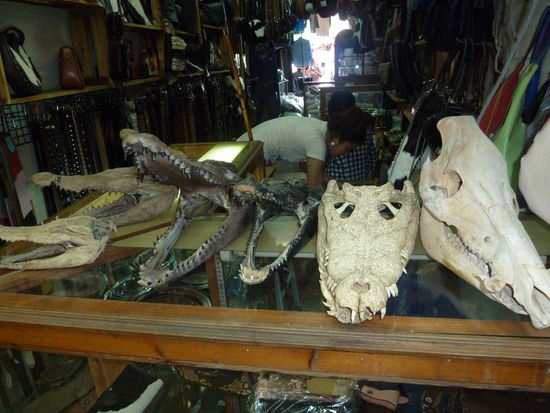 man kann hier alles kaufen!