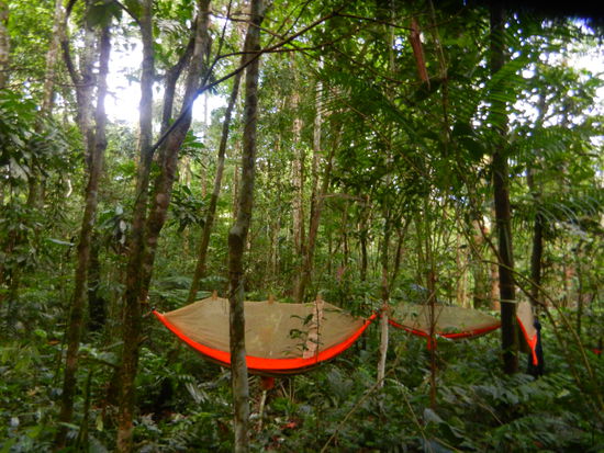 unser Nachtlager mit Jaguar Begleitung