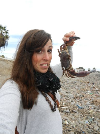 ... naja bis auf den Friedhof der Krebse - da waren 100e