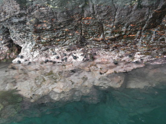 und nun noch ein Blick in die Landschaft