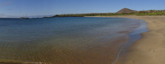 zurück am Strand....