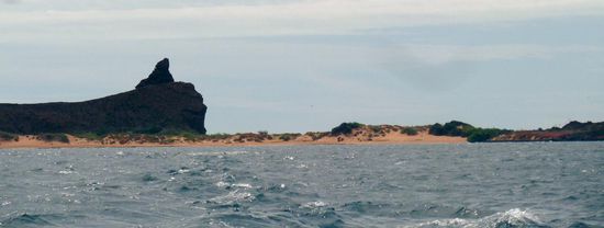 entscheidet selbst: "Seelöwe auf Klippe" oder "Thumbs up"?