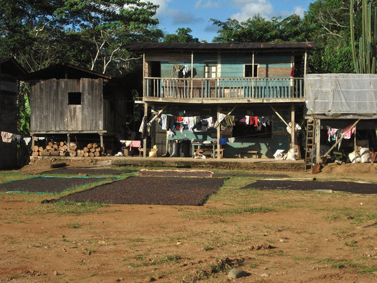 im Dorf,......Kaffee trocknet vor den Häusern am Dorfplatz,....das Gebäude auch zugleich der "Supermarkt" des Ortes