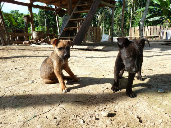 Getierse in der Community