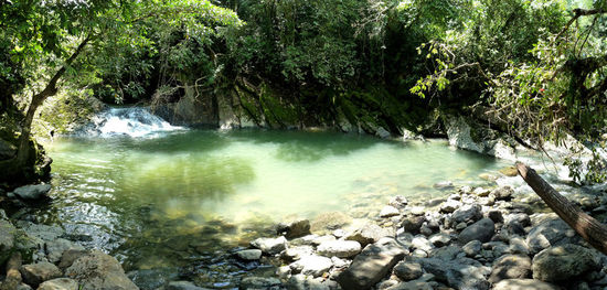 verborgener Urwaldwasserfall