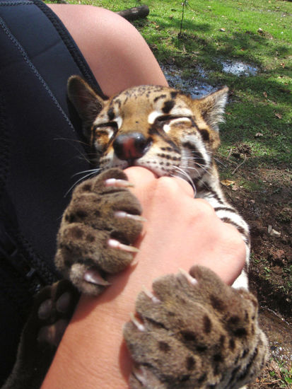 .....soooooooo große Pfoten......