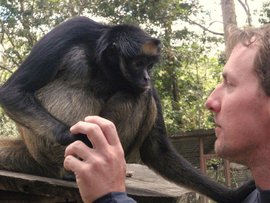 "Es liegt nicht an dir,....es liegt an mir,....du bist wundervoll, aber das klappt einfach nicht zwischen uns......"