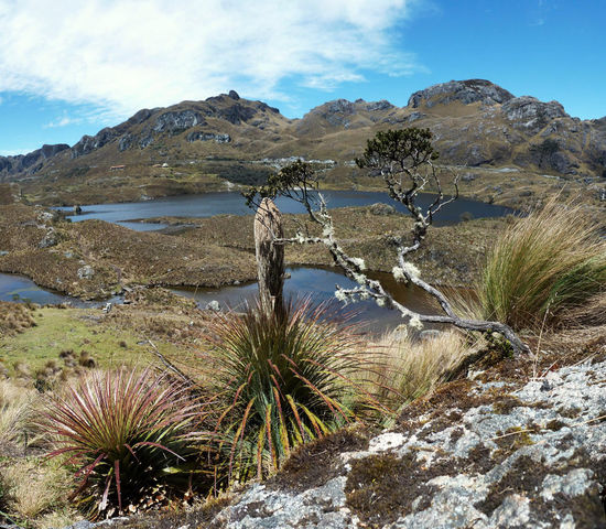 Parque Nacional de Cajas