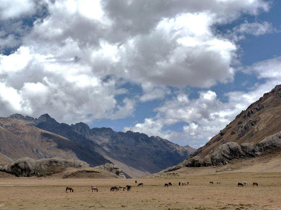 Tag 5: ....Steinformationen in der Ebene (rund 4500 m)