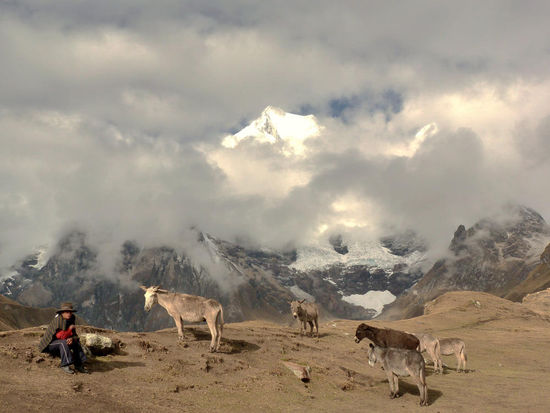 Tag 3: .....am Morgen....Esel vor dem Zelt....