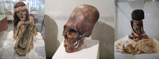 Mumie eines Erwachsenen - längliche Köpfe - Mumie eines Kindes