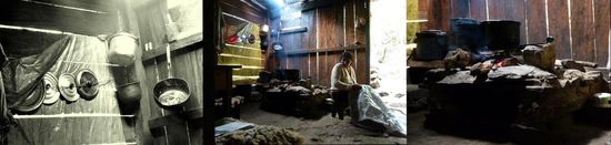 ....Leben in einer Hütte im Nebelwald...