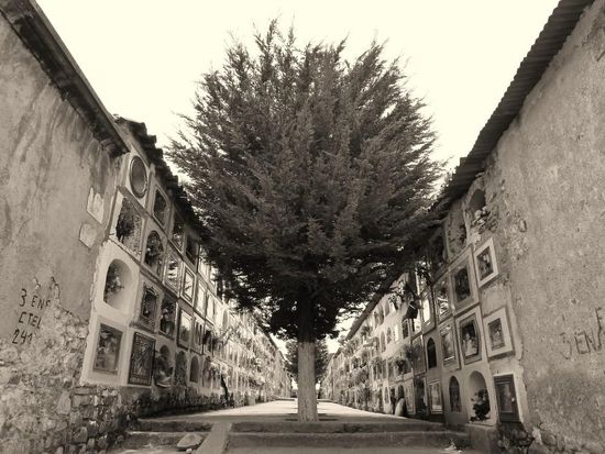 ...die architektonisch wertvolleren "Weiße Wände"-Gräber....