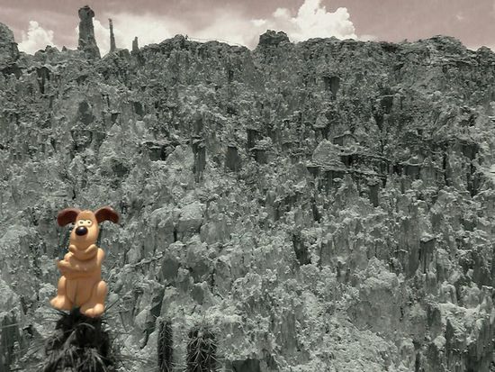 Gromit the dog (1989 - 2011)
,....verschollen im Valle de la Luna