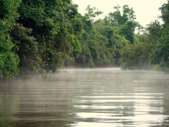 ... nachdem der Regen aufgehört hat,....ein dampfender Fluss