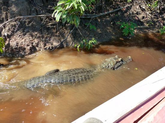 ...ganz nah am Boot *schluck*