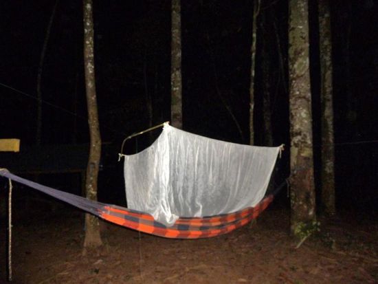 Schlafen im Dschungelcamp