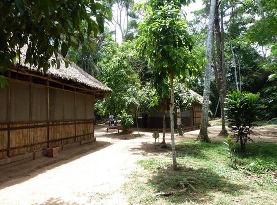 Mashaquipe Jungle-Lodge