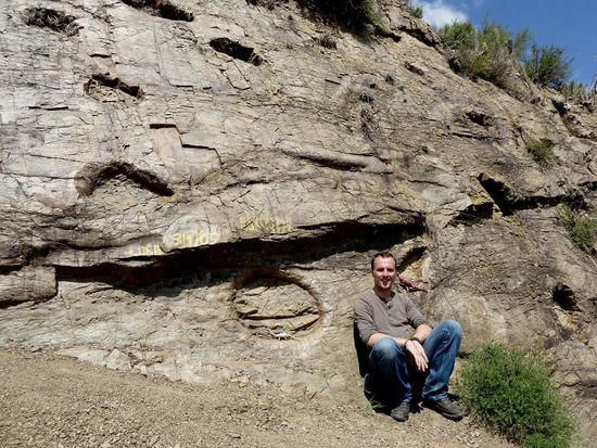 Dino Footprints