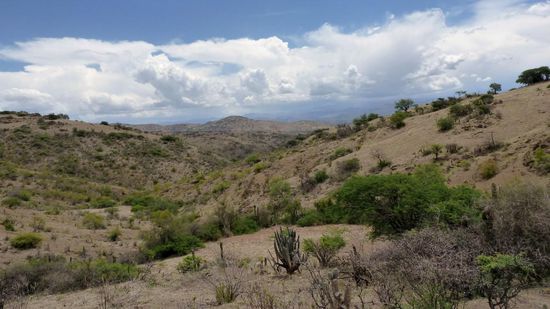 Hills around Sucre