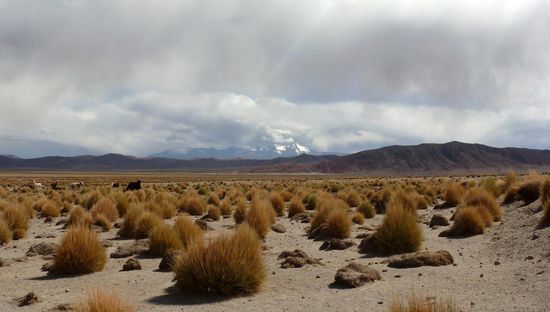 ....kilometerweit keine Menschenseele....