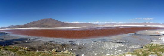 Laguna Colorada....rotes Wasser aufgrund von Mikroorganismen