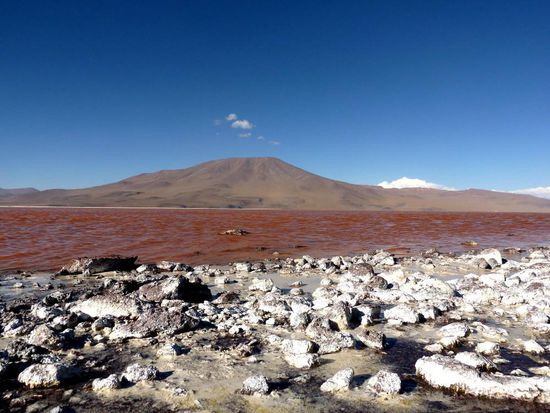 ....Laguna Colorada......