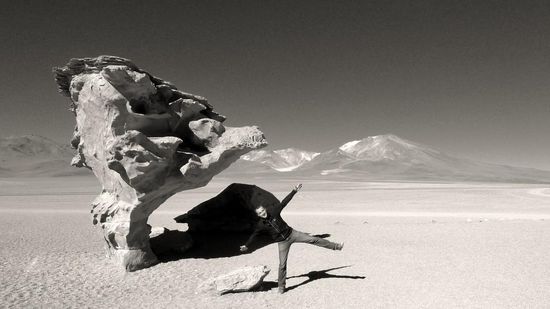 Arbol de Piedra (heißt soviel wie: Baum aus Stein)