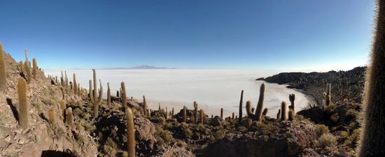 Isla del Pescado (Inkawasi) .....mit den Riesenkakteen