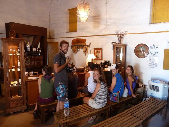 ...Verkostung beim Weingut Tomasso