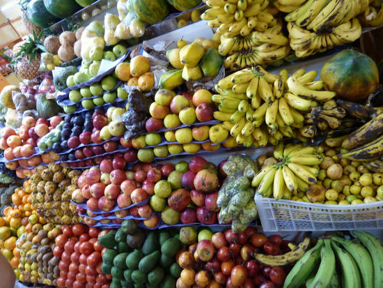 viele viele bunte Früchte
