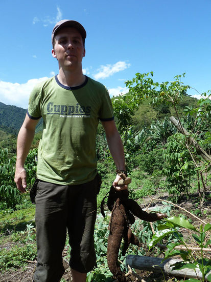 .......ey du,...brauchst du Yucca?,....