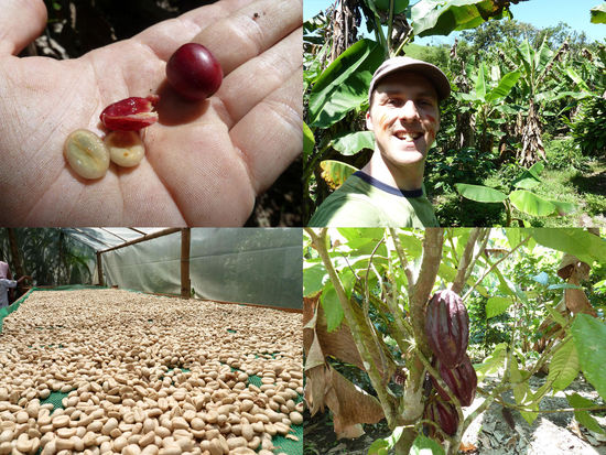 Kaffebohnen und Kakao