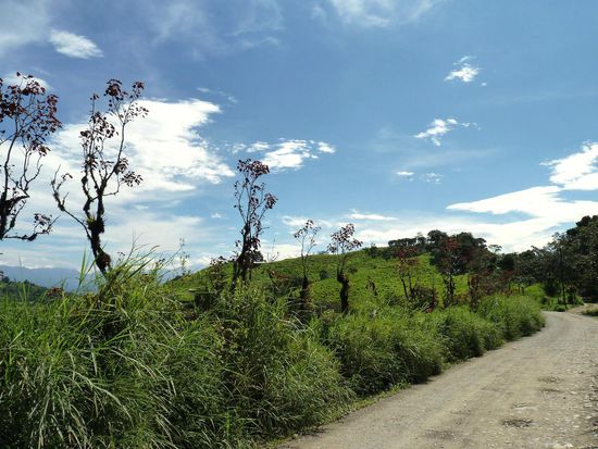 Auf dem Weg nch Chontal....