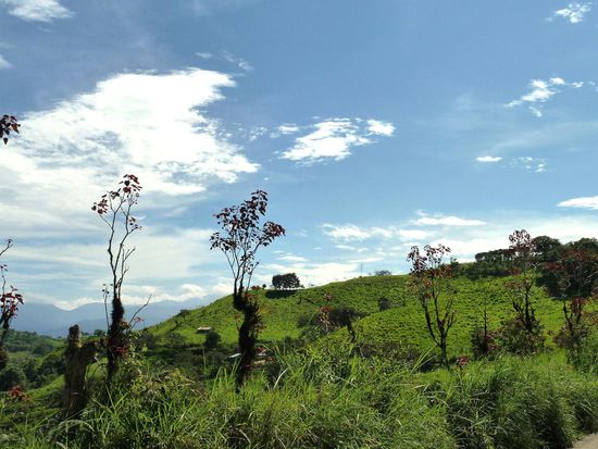 ....Chontal Umgebung Countryside....