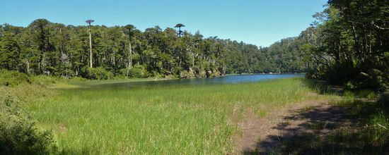 ...ok,...Nationalpark Huerquehue....