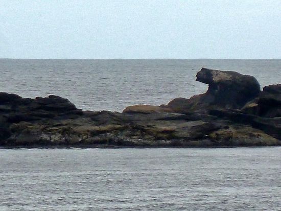 Der steinerne Eisbär
