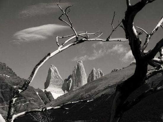 ...die Torres-Torres,....