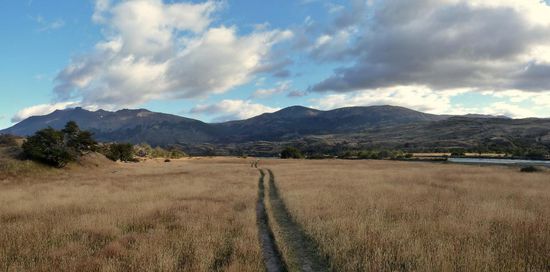 ... zum Lago Dickens,.... weite Wiesen