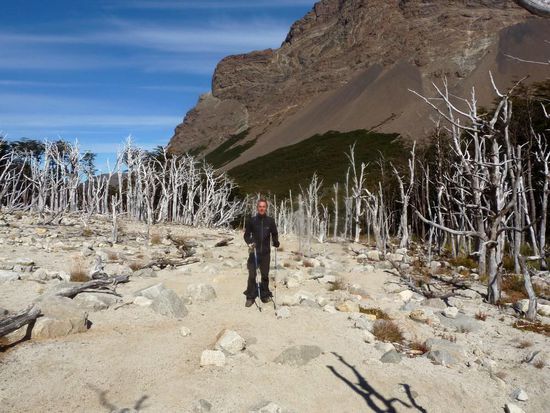 French Valley,.... verdörrter Waldbereich....unwirklich...