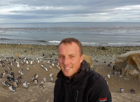 unter Pinguinen,....geniales Erlebnis