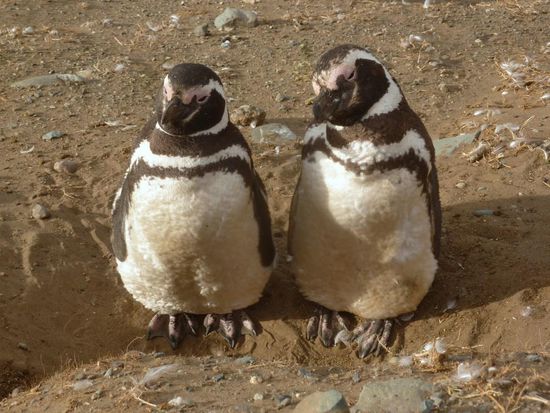 A sooo a schenes Paar!