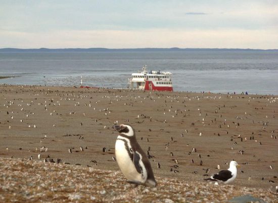 "Ok,...Leute,...die Touristen kommen,...."