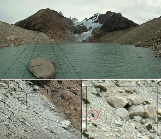 "Wo ist eigenltich Ran?" 