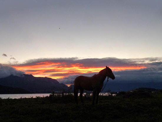 Sonnenaufgang in Puerto Tranquilo