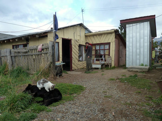 ...and the winner of the golden banana is.....